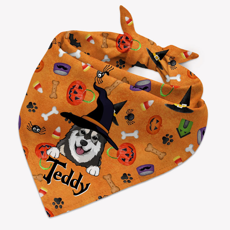 Halloween Dog Bandana, Personalized Bandana, Custom Gift For Dog