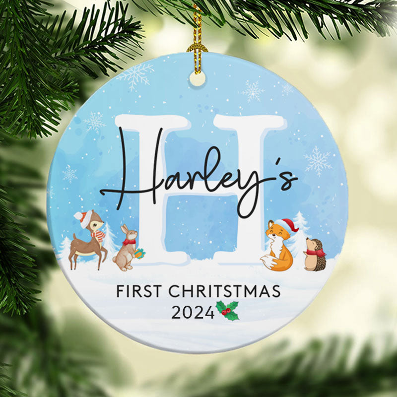 Baby's First Christmas, Personalized Christmas Ornaments, Custom Holiday Decoration