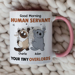 Human Servant Your Tiny Overlord, Personalized Funny Mug, Gift For Cat Lovers