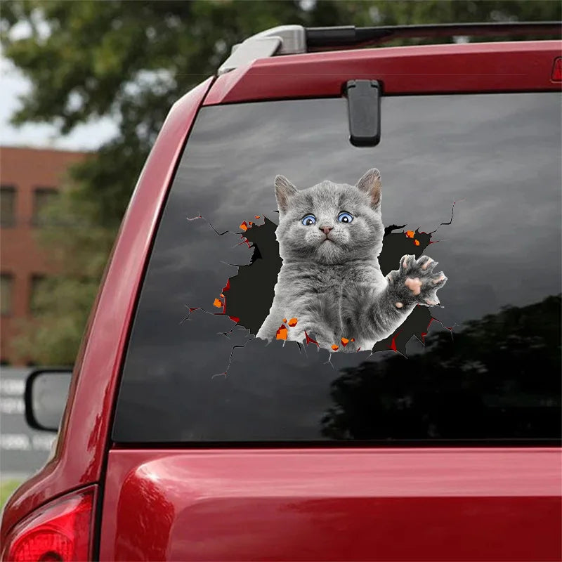 3D Dog Car Sticker Waterproof Cat Car Sticker Toilet Sticker Wall Stickers Removable Art Decals Sticker Home Decor Dropshipping