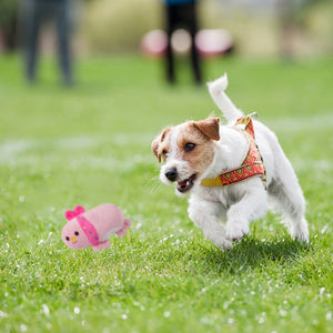 Soft and Durable Dog Toys with Squeaky Bone Design - 1PC