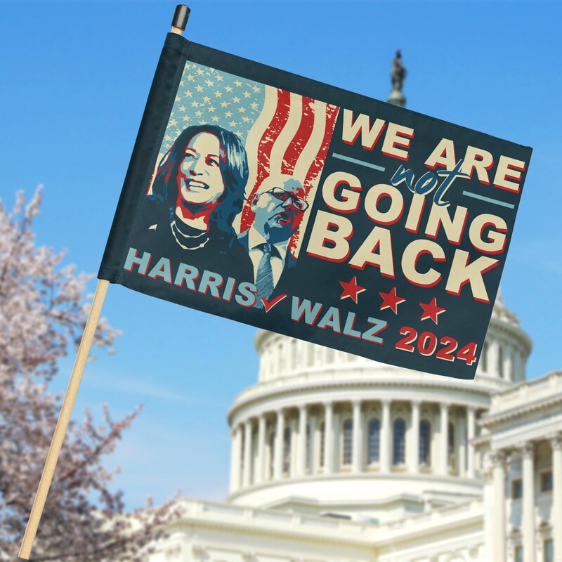 We Are Not Going Back, Two Sides Hand Flag, Gift For Kamala Harris Supporters, Election 2024