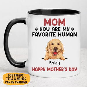 You Are My Favorite Human, Personalized Accent Mug, Gifts For Dog Lovers