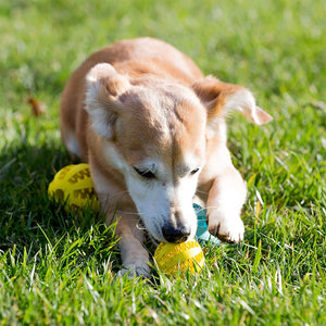 Dogs Rubber, Dog Ball For Puppy, Dogs Tooth Cleaning Snack Ball