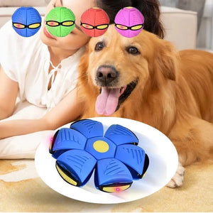 Interactive UFO Saucer Dog Toy