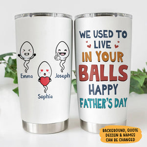 We Used To Live In Your Balls Vintage, Personalized Tumbler Cup, Father's Day Gifts