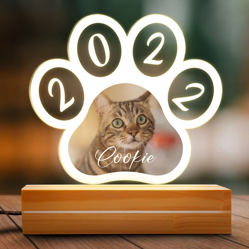 Pet Paw Print, Personalized Shape Acrylic Plaque, LED Light, Custom Gift For Pet Lovers, Custom Photo