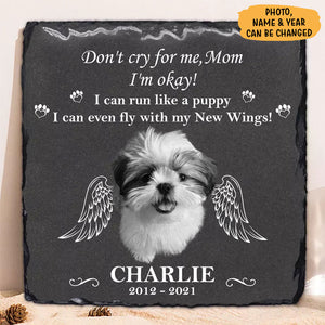 Fly With New Wings, Memorial Gift For Dog Lovers, Custom Photo, Personalized Pet Memorial Stone