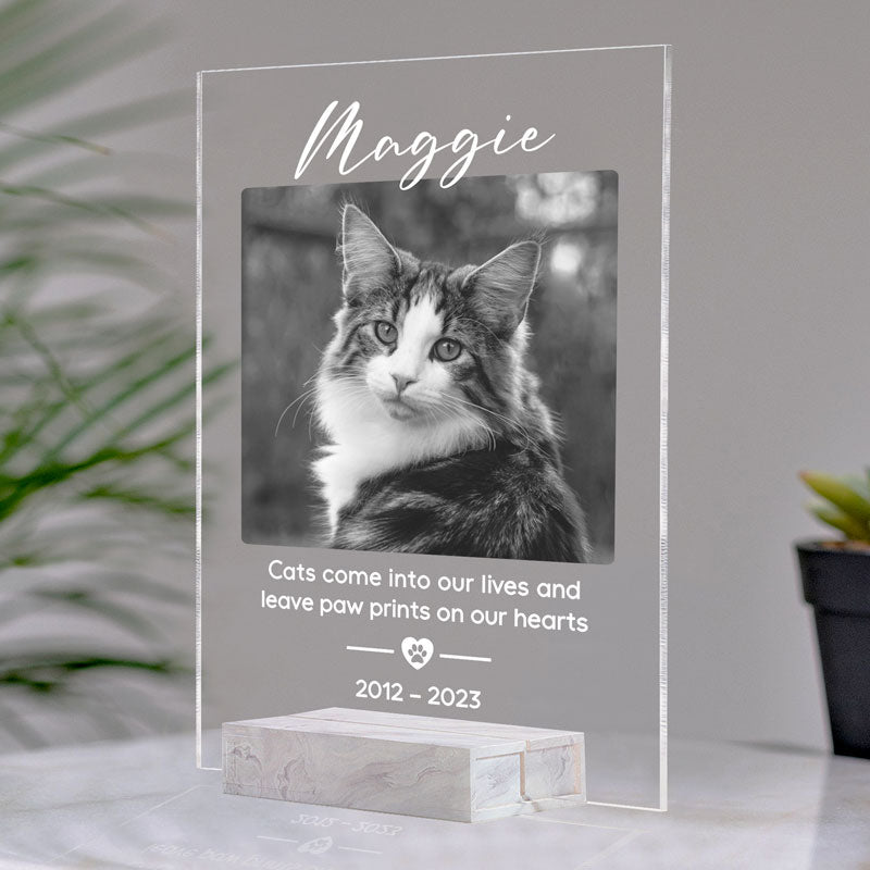 Leave Paw Prints On Our Hearts, Personalized Acrylic Plaque, LED Light, Memorial Gift For Pet Lovers, Custom Photo