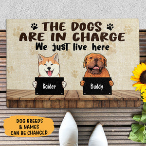 The Dog Are In Charge, Custom Doormat, Personalized Doormat, Gift For Dog Lovers