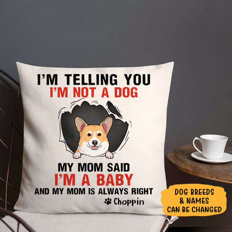 My Mom Said, Personalized Pillows, Custom Gift for Dog Lovers