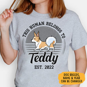 This Human Belongs To, Personalized Shirt, Custom Gift For Dog Lovers