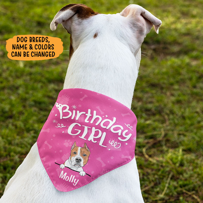 Birthday Girl Birthday Boy, Personalized Bandana, Custom Gifts For Dog, Birthday Gift