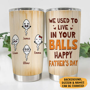 We Used To Live In Your Balls, Personalized Tumbler Cup, Father's Day Gifts