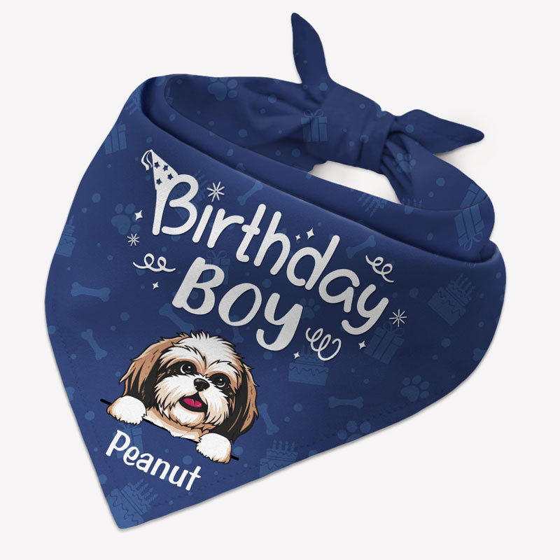 Birthday Girl Birthday Boy, Personalized Bandana, Custom Gifts For Dog, Birthday Gift