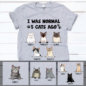 I Was Normal 3 Cats Ago, Custom Shirt, Personalized Gifts for Cat Lovers