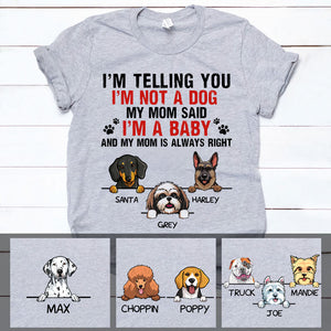 I'm a Baby, Funny Custom T Shirt, Personalized Gifts for Dog Lovers