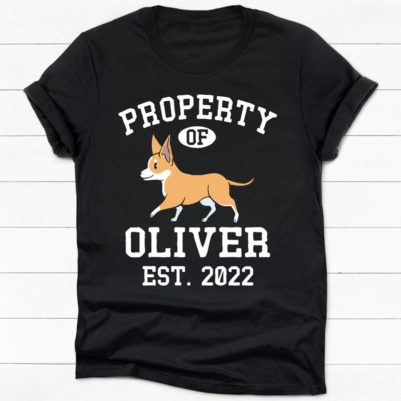 Property Of Chihuahua, Personalized Shirt, Custom Gifts For Dog Lovers