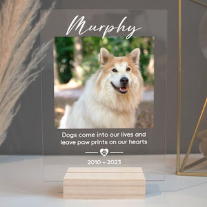 Leave Paw Prints On Our Hearts, Personalized Acrylic Plaque, LED Light, Memorial Gift For Pet Lovers, Custom Photo