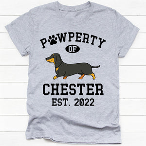 Pawperty Of Dashchund, Personalized Shirt, Custom Gifts For Dog Lovers