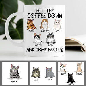 Put The Coffee Down and Come Feed Us, Custom Coffee Mug, Personalized Gifts for Cat Lovers